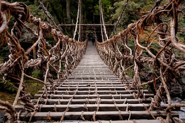 Kazura-bashi, Japonya 'nın Shikoku Vadisi' nin derinliklerinde bulunan tarihi bir asma köprüdür. Doğal asmalar ve ahşap kalaslarla inşa edilen köprü, Iya Nehri boyunca uzanır ve bereketli dağ ormanlarıyla çevrilidir..