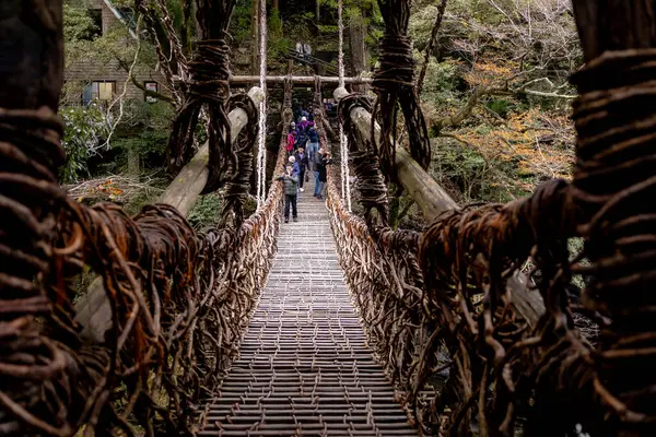 Kazura-bashi, Japonya 'nın Shikoku Vadisi' nin derinliklerinde bulunan tarihi bir asma köprüdür. Doğal asmalar ve ahşap kalaslarla inşa edilen köprü, Iya Nehri boyunca uzanır ve bereketli dağ ormanlarıyla çevrilidir..