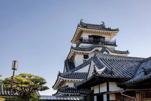 Kochi Şehri, Shikoku, Japonya - Aralık 2024: Kochi Kalesi canlı sonbahar yapraklarıyla çevrili iyi korunmuş bir Japon kalesidir. Ahşap yapının geleneksel kalesi kırmızı akçaağaç ve altın ginkgo ağaçları arasında zarif duruyor..