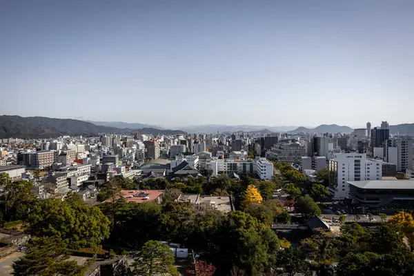 Kochi Şehri, Shikoku, Japonya - Aralık 2024: Kochi Kalesi canlı sonbahar yapraklarıyla çevrili iyi korunmuş bir Japon kalesidir. Ahşap yapının geleneksel kalesi kırmızı akçaağaç ve altın ginkgo ağaçları arasında zarif duruyor..