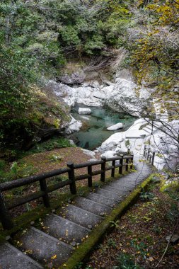 Japonya 'nın Shikoku bölgesindeki Iya Vadisi' nde bulunan Tokushima Bölgesi 'ndeki dramatik Oboke Vadisi' nde huzurlu bir tekne yolculuğu. Zümrüt yeşili nehir sarp kayalıklar arasında süzülür..