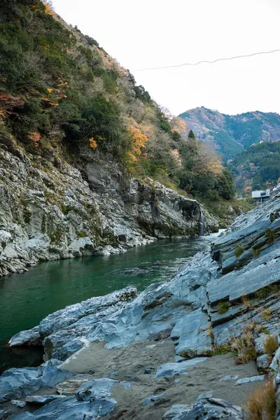 Japonya 'nın Shikoku bölgesindeki Iya Vadisi' nde bulunan Tokushima Bölgesi 'ndeki dramatik Oboke Vadisi' nde huzurlu bir tekne yolculuğu. Zümrüt yeşili nehir sarp kayalıklar arasında süzülür..