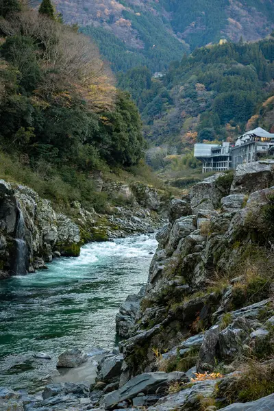 Japonya 'nın Shikoku bölgesindeki Iya Vadisi' nde bulunan Tokushima Bölgesi 'ndeki dramatik Oboke Vadisi' nde huzurlu bir tekne yolculuğu. Zümrüt yeşili nehir sarp kayalıklar arasında süzülür..
