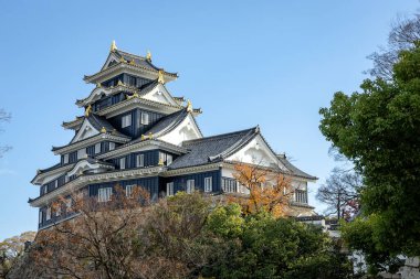 Okayama, Japonya - Aralık 2024: Okayama Kalesi 'nin manzarası. Siyahi dış görünüşlü Karga Kalesi olarak bilinen tarihi Japon kalesi..