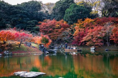 Kagawa, Japonya - Aralık 2024: Sonbahar sezonu boyunca Takamatsu 'daki Ritsurin Park' ın nefes kesici manzarası. Kırmızı ve turuncu renkli akçaağaç ağaçlarıyla geleneksel Japon bahçesi, sakin yansıtıcı havuzlar.