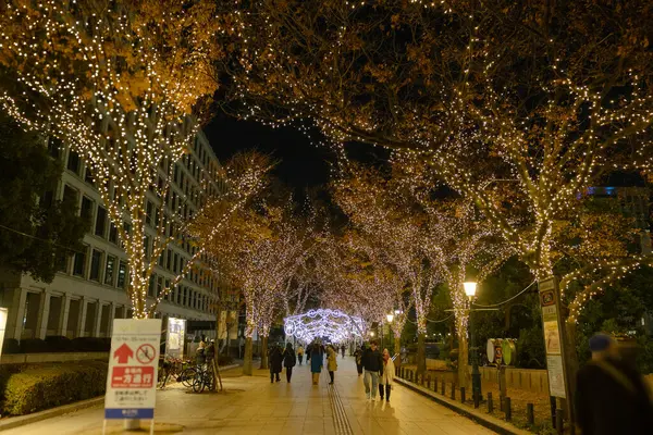 Osaka, Japonya - Aralık 2024: Osaka şehrinin canlı gece görüntüsü, Dotonbori veya Umeda gibi önemli bir bölge etrafında renkli aydınlatma ve neon ışıkları sergileniyor.