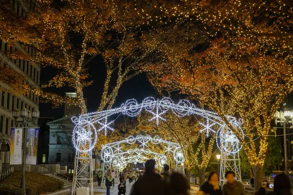 Osaka, Japonya - Aralık 2024: Osaka şehrinin canlı gece görüntüsü, Dotonbori veya Umeda gibi önemli bir bölge etrafında renkli aydınlatma ve neon ışıkları sergileniyor.