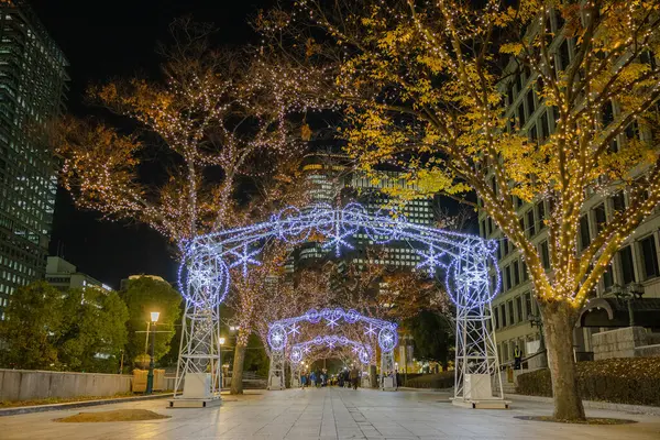 Osaka, Japonya - Aralık 2024: Osaka şehrinin canlı gece görüntüsü, Dotonbori veya Umeda gibi önemli bir bölge etrafında renkli aydınlatma ve neon ışıkları sergileniyor.