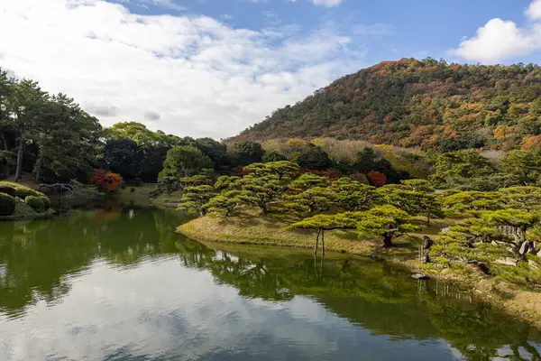 Takamatsu 'daki Ritsurin Parkı' nın sonbahar sezonunda nefes kesici manzarası. Kırmızı ve turuncu renkli akçaağaç ağaçlarıyla geleneksel Japon bahçesi, sakin yansıtıcı havuzlar.