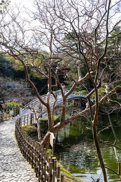 Takamatsu 'daki Ritsurin Parkı' nın sonbahar sezonunda nefes kesici manzarası. Kırmızı ve turuncu renkli akçaağaç ağaçlarıyla geleneksel Japon bahçesi, sakin yansıtıcı havuzlar.