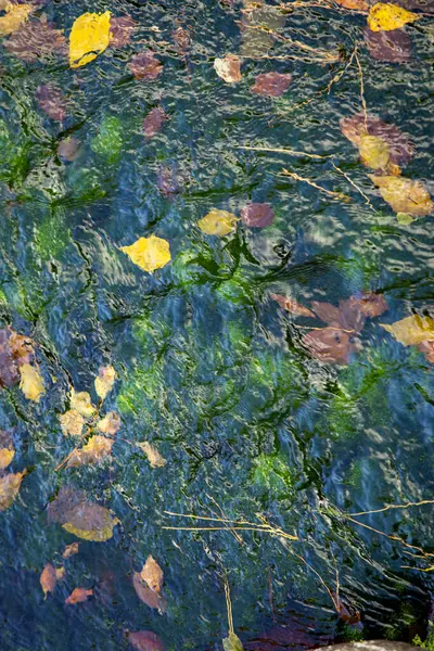 Takamatsu 'daki Ritsurin Parkı' nın sonbahar sezonunda nefes kesici manzarası. Kırmızı ve turuncu renkli akçaağaç ağaçlarıyla geleneksel Japon bahçesi, sakin yansıtıcı havuzlar.