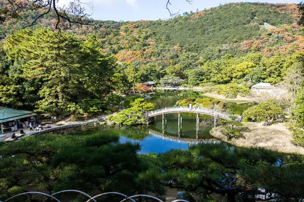 Takamatsu 'daki Ritsurin Parkı' nın sonbahar sezonunda nefes kesici manzarası. Kırmızı ve turuncu renkli akçaağaç ağaçlarıyla geleneksel Japon bahçesi, sakin yansıtıcı havuzlar.