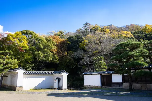 Kagawa, Japonya - Aralık 2024: Sonbahar sezonu boyunca Takamatsu 'daki Ritsurin Park' ın nefes kesici manzarası. Kırmızı ve turuncu renkli akçaağaç ağaçlarıyla geleneksel Japon bahçesi, sakin yansıtıcı havuzlar.