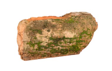 Beyaz üzerine izole edilmiş eski ıslak kırmızı tuğla üzerinde yeşil yosun