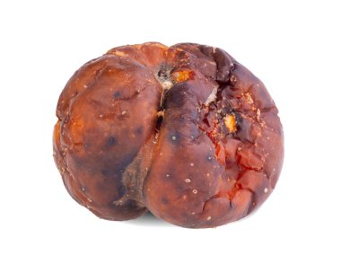 Çürük elma. Beyaz arka planda izole edilmiş. Çürük yeşil ve kırmızı elmalar. (Çürük elma, çürük meyve)