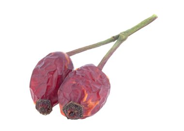 kurutulmuş gül beyaz arka plan üzerinde izole kalça