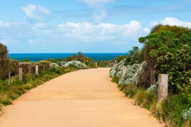 Okyanusa giden yol Port Campbell Ulusal Parkı, Victoria, Avustralya. 
