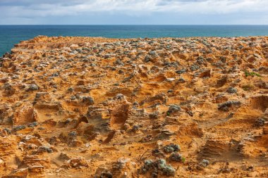 Cape Bridgewater 'daki Rocky Yarımadası. Güneybatı Victoria, Avustralya açıklarında kuru bir düşman ortamı..