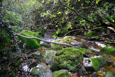 Badde Manna Nehri Vadisi