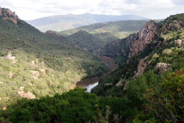 View of Rio Cighinas from Monte Ruju