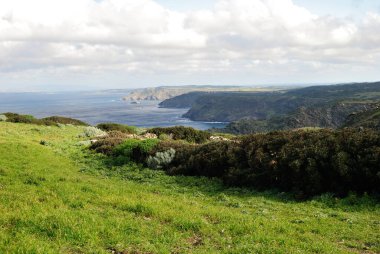 The coast of Nurra from Capo Mannu