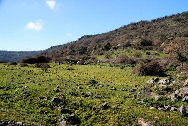 View of the natural area of Parco Mariani