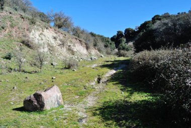 View of the natural area of Parco Mariani