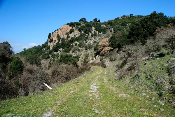 Vista Área Natural Parco Mariani — Fotografia de Stock