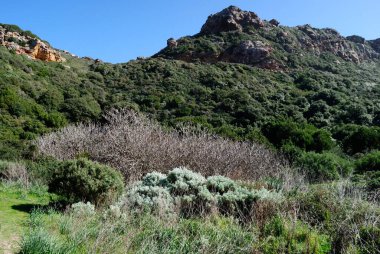 Ortile 'nin iç kesimlerinde, Ischia Ruja kulesinin yanında.