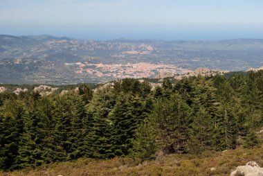 Monte Limbara 'dan Tempio Pusania Görünümü