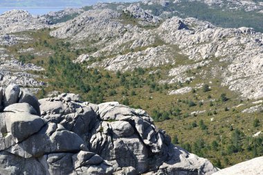 Monte Limbarra 'nın üç granitik zirvesi