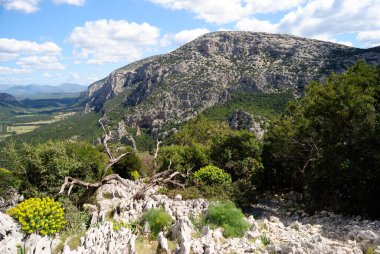 Monte Tiscali 'nin nurajik köyüne giden yol, Monte Guturgios manzarası