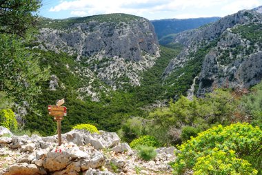 Monte Tiscali 'nin nurajik köyüne giden yol, arka plandaki Surtana Vadisi.