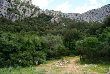 Surtana Vadisi Monte Tiscali 'ye giden yol.