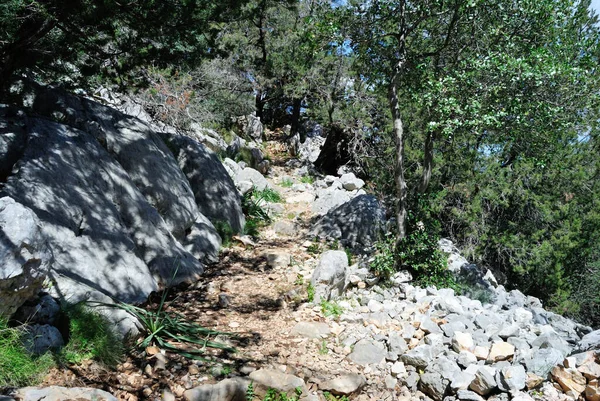 Chemin Vers Village Pépinière Monte Tiscali — Photo