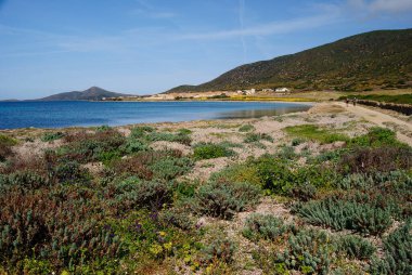 Asinara adasındaki Cala Trabuccato manzarası