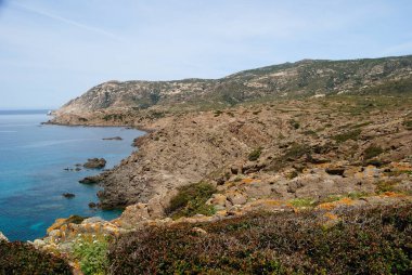 Asinara adasındaki Cala Peppe kıyısında.
