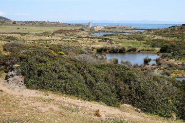 Asinara adasındaki Campo Perdu manzarası