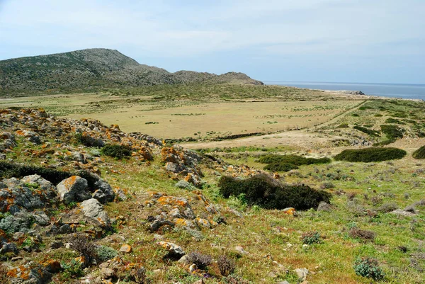 Vista Campo Perdu Ilha Asinara — Fotografia de Stock