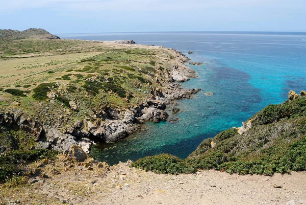 Wybrzeże Porto Manno Wyspie Asinara — Zdjęcie stockowe
