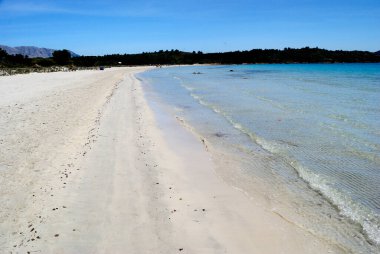 San Teodoro 'daki Cala Brandinchi plajı.