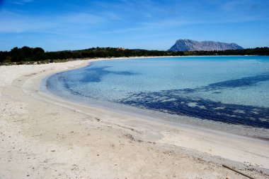 The beach of Cala Brandinchi in San Teodoro, in background the island of Tavolara clipart