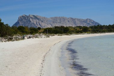 San Teodoro 'daki Cala Brandinchi plajı, arka plandaki Tavolara adası.
