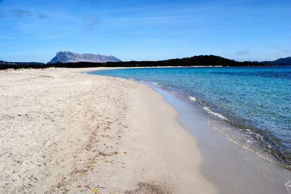 Pláž Impostu San Teodoro Pozadí Ostrova Tavolara — Stock fotografie