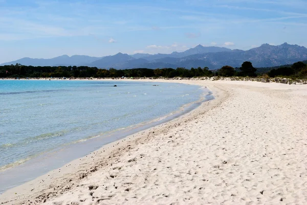 Plaża Cala Brandinchi San Teodoro — Zdjęcie stockowe