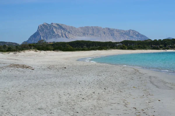 Pláž Impostu San Teodoro Pozadí Ostrova Tavolara — Stock fotografie