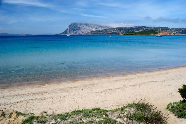 San Teodoro的Capo Coda Cavallo海滩 背景是Tavolara岛 免版税图库图片