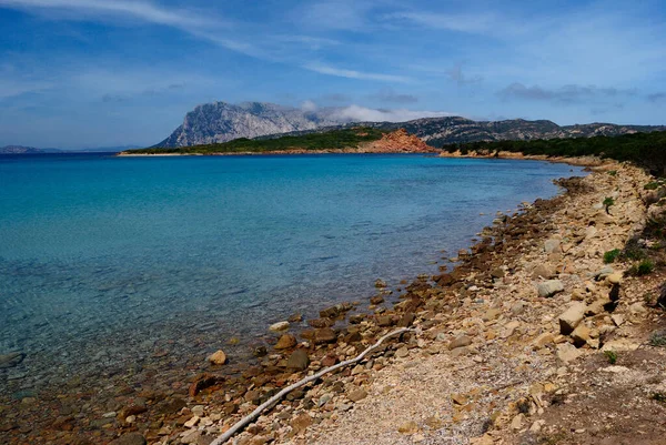 San Teodoro的Capo Coda Cavallo海岸 塔沃拉拉岛的背景 图库图片