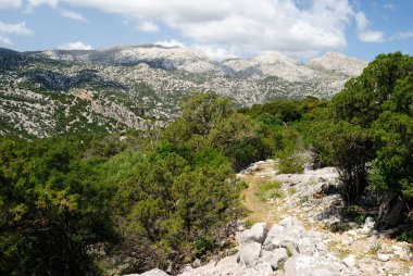 Cuile Sas Traes 'ten Cuile Sos Mojos' a giden yol