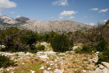 Cuile Sas Traes 'ten Cuile Sos Mojos' a giden yol